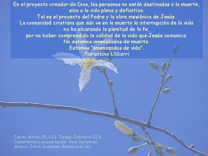 En el proyecto creador de Dios, las personas no están destinadas a la muerte, En el proyecto creador de Dios, las personas no están destinadas a la muerte,