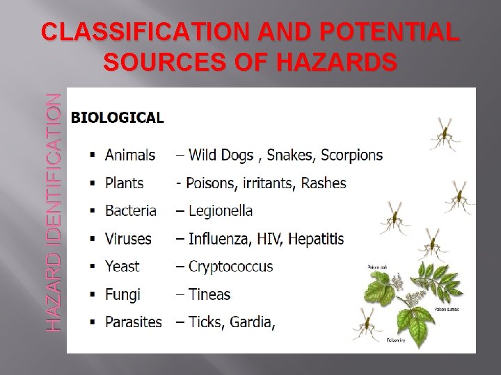 HAZARD IDENTIFICATION CLASSIFICATION AND POTENTIAL SOURCES OF HAZARDS 