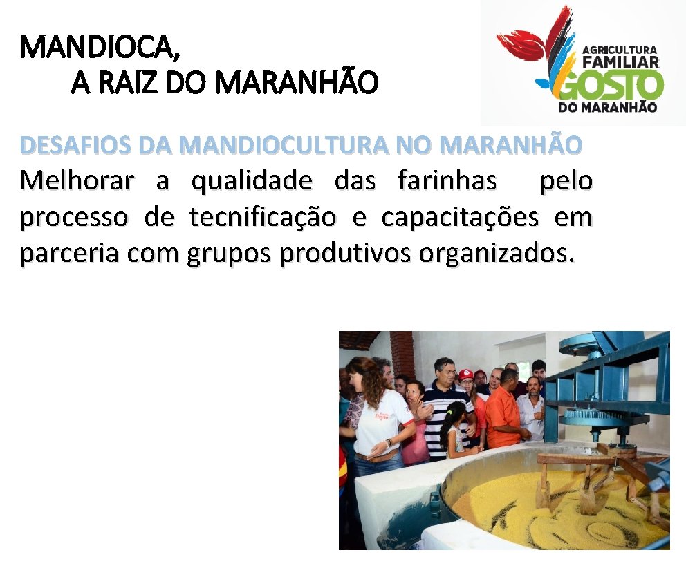 MANDIOCA, A RAIZ DO MARANHÃO DESAFIOS DA MANDIOCULTURA NO MARANHÃO Melhorar a qualidade das