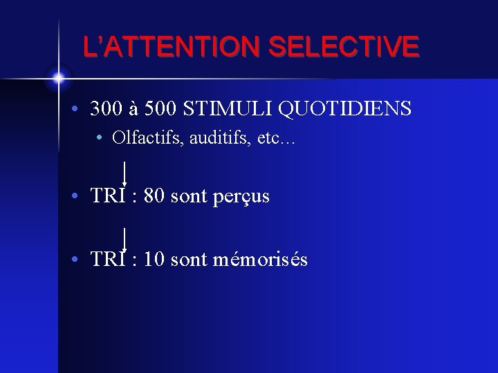 L’ATTENTION SELECTIVE • 300 à 500 STIMULI QUOTIDIENS • Olfactifs, auditifs, etc… • TRI