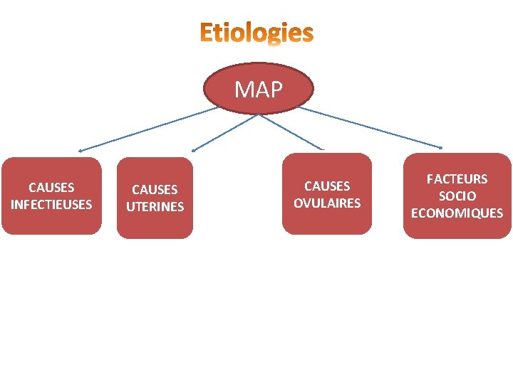 MAP CAUSES INFECTIEUSES CAUSES UTERINES CAUSES OVULAIRES FACTEURS SOCIO ECONOMIQUES 