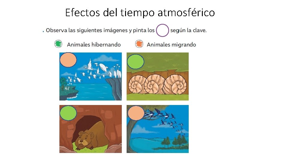 Efectos del tiempo atmosférico 