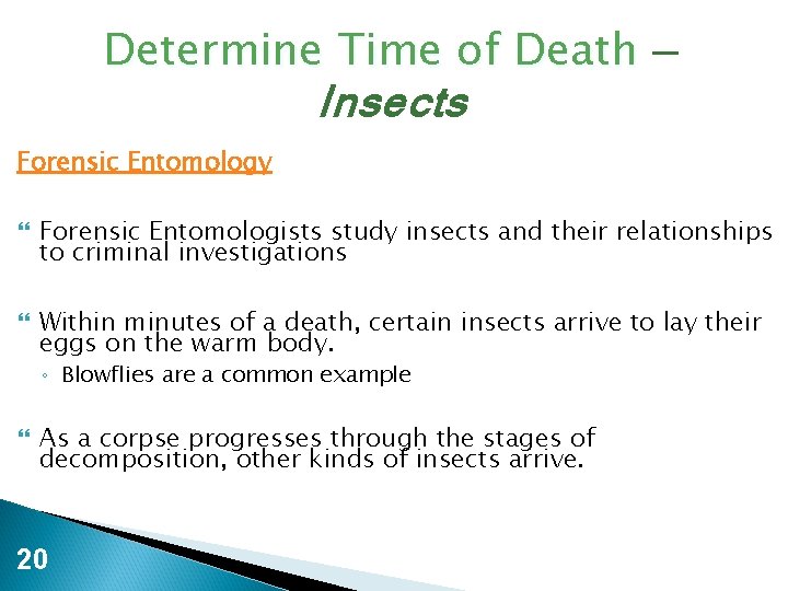 Determine Time of Death — Insects Forensic Entomology Forensic Entomologists study insects and their