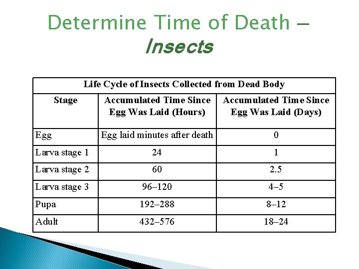 Determine Time of Death — Insects Life Cycle of Insects Collected from Dead Body