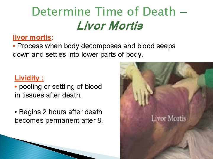 Determine Time of Death — Livor Mortis livor mortis: • Process when body decomposes