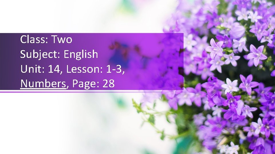 Class: Two Subject: English Unit: 14, Lesson: 1 -3, Numbers, Page: 28 