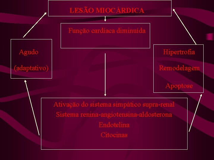 LESÃO MIOCÁRDICA Função cardíaca diminuída Agudo Hipertrofia (adaptativo) Remodelagem Apoptose Ativação do sistema simpático