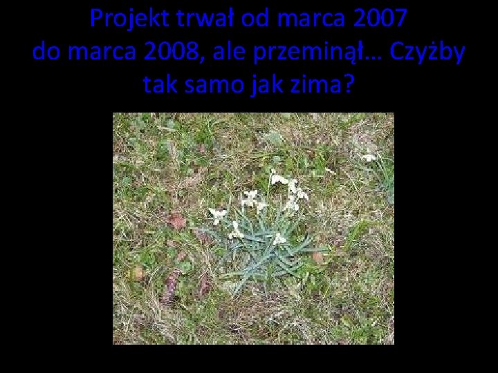 Projekt trwał od marca 2007 do marca 2008, ale przeminął… Czyżby tak samo jak Projekt trwał od marca 2007 do marca 2008, ale przeminął… Czyżby tak samo jak