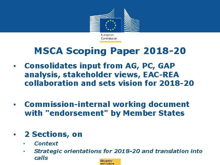 MSCA Scoping Paper 2018 -20 • Consolidates input from AG, PC, GAP analysis, stakeholder