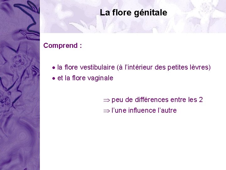 La flore génitale Comprend : la flore vestibulaire (à l’intérieur des petites lèvres) et