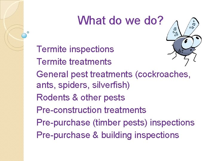 What do we do? Termite inspections Termite treatments General pest treatments (cockroaches, ants, spiders,