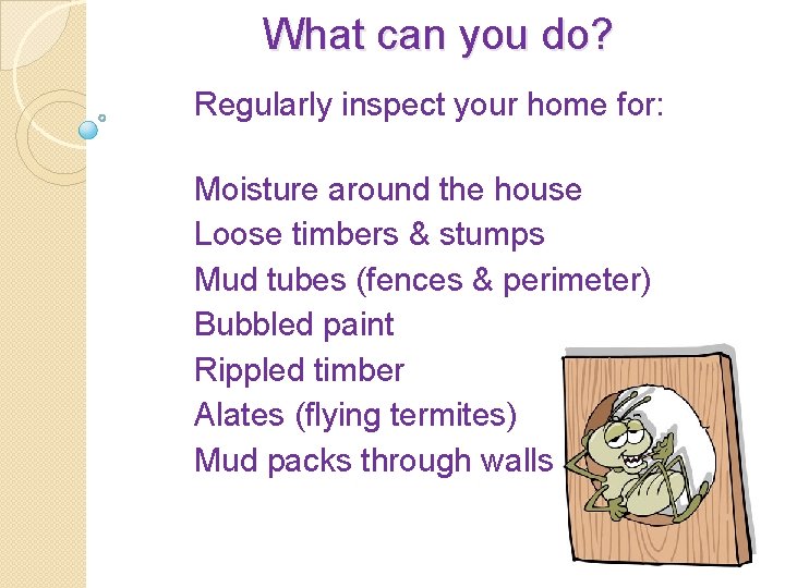 What can you do? Regularly inspect your home for: Moisture around the house Loose