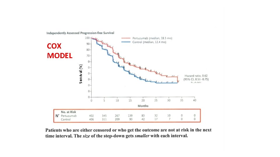 Survival (%) COX MODEL Survival (%) COX MODEL