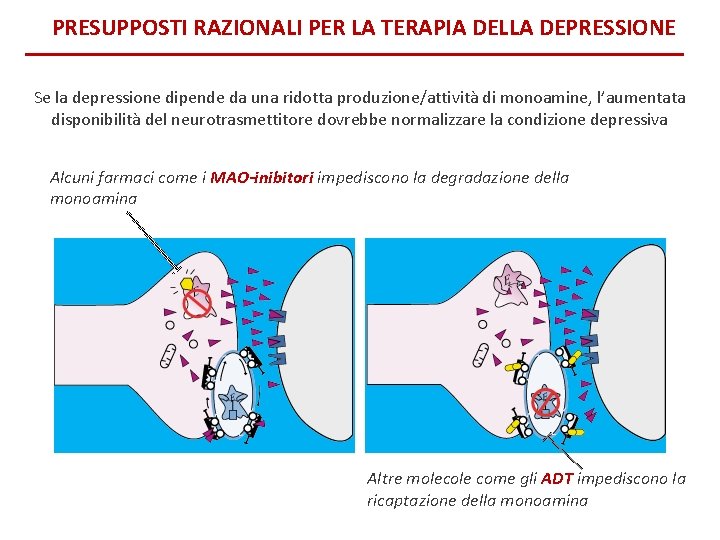 PRESUPPOSTI RAZIONALI PER LA TERAPIA DELLA DEPRESSIONE Se la depressione dipende da una ridotta