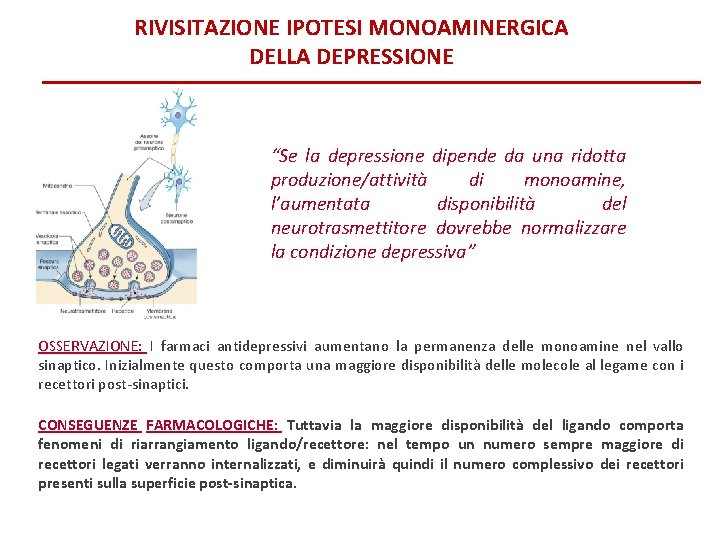 RIVISITAZIONE IPOTESI MONOAMINERGICA DELLA DEPRESSIONE “Se la depressione dipende da una ridotta produzione/attività di