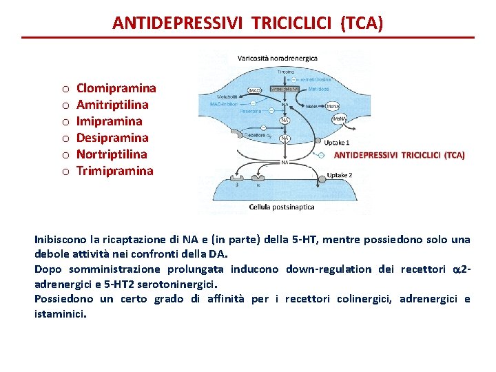ANTIDEPRESSIVI TRICICLICI (TCA) o Clomipramina o Amitriptilina o Imipramina o Desipramina o Nortriptilina o