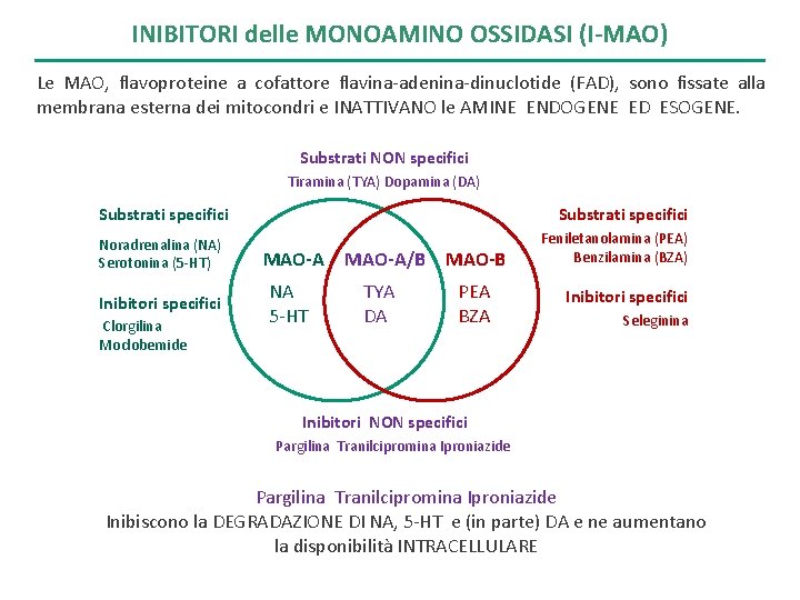 INIBITORI delle MONOAMINO OSSIDASI (I-MAO) Le MAO, flavoproteine a cofattore flavina-adenina-dinuclotide (FAD), sono fissate