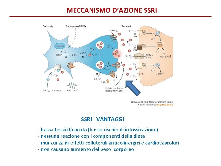 MECCANISMO D’AZIONE SSRI: VANTAGGI - bassa tossicità acuta (basso rischio di intossicazione) - nessuna