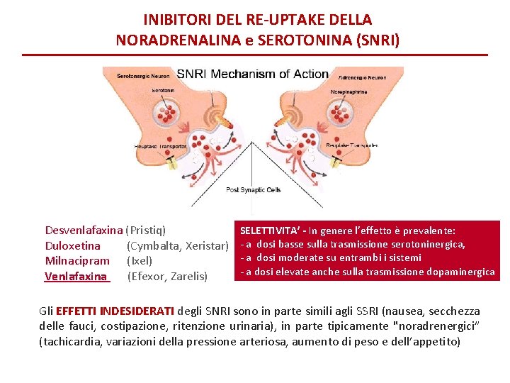 INIBITORI DEL RE-UPTAKE DELLA NORADRENALINA e SEROTONINA (SNRI) Desvenlafaxina (Pristiq) Duloxetina (Cymbalta, Xeristar) Milnacipram