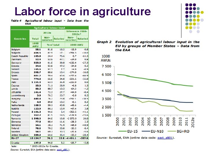 Labor force in agriculture 