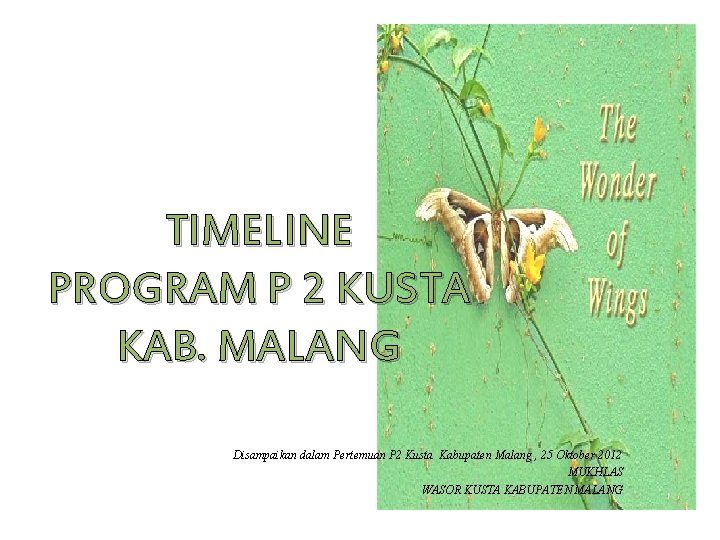 TIMELINE PROGRAM P 2 KUSTA KAB. MALANG Disampaikan dalam Pertemuan P 2 Kusta Kabupaten