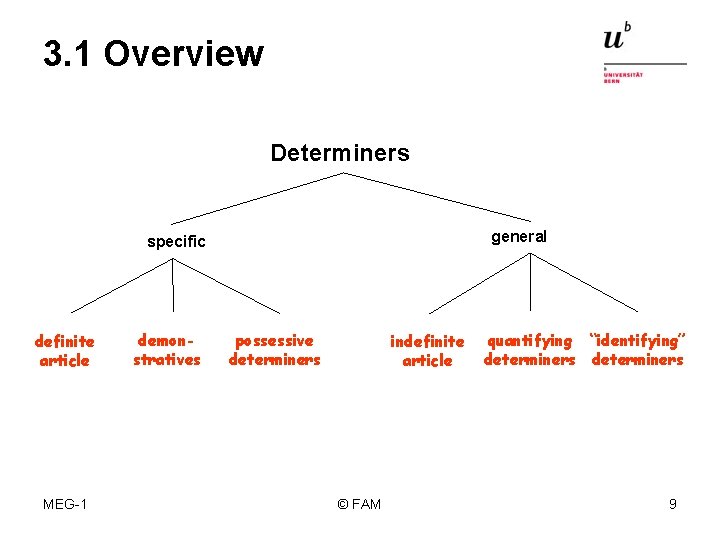 3. 1 Overview Determiners general specific definite article MEG-1 demonstratives possessive determiners indefinite article