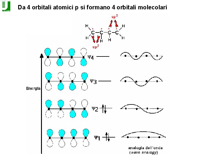 Da 4 orbitali atomici p si formano 4 orbitali molecolari 