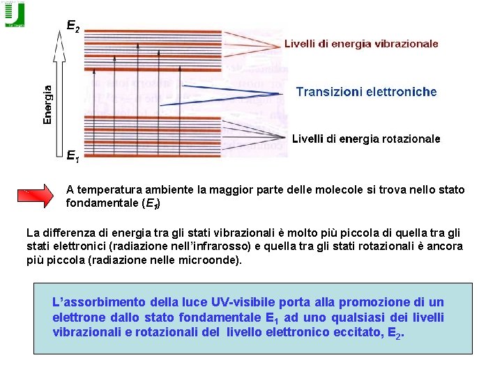 A temperatura ambiente la maggior parte delle molecole si trova nello stato fondamentale (E