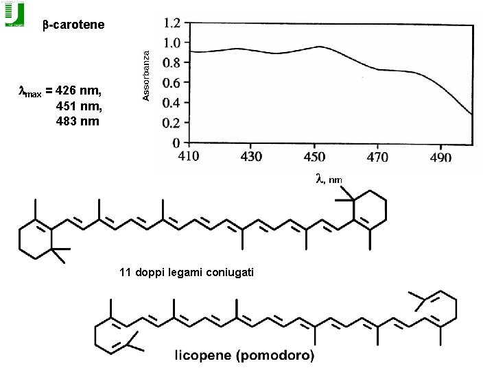 b-carotene lmax = 426 nm, 451 nm, 483 nm 11 doppi legami coniugati 