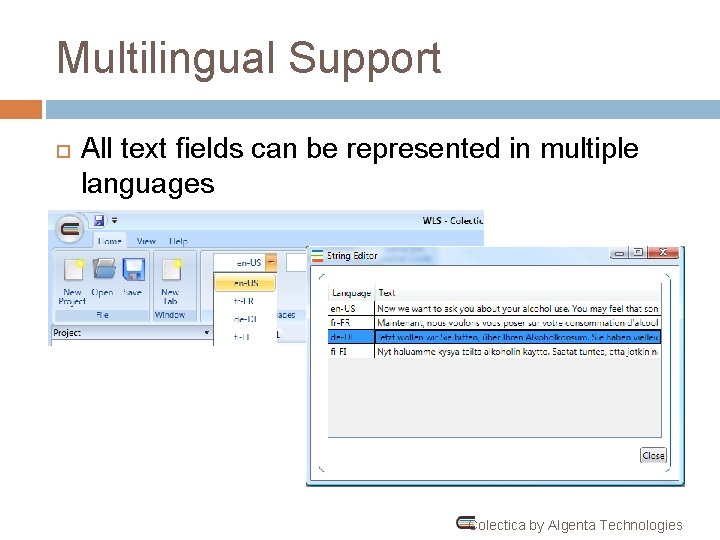Multilingual Support All text fields can be represented in multiple languages Colectica by Algenta