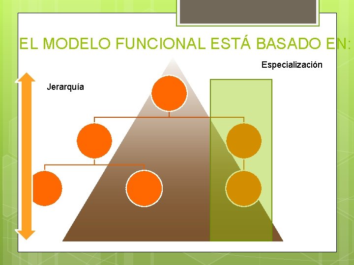 EL MODELO FUNCIONAL ESTÁ BASADO EN: Especialización Jerarquía 