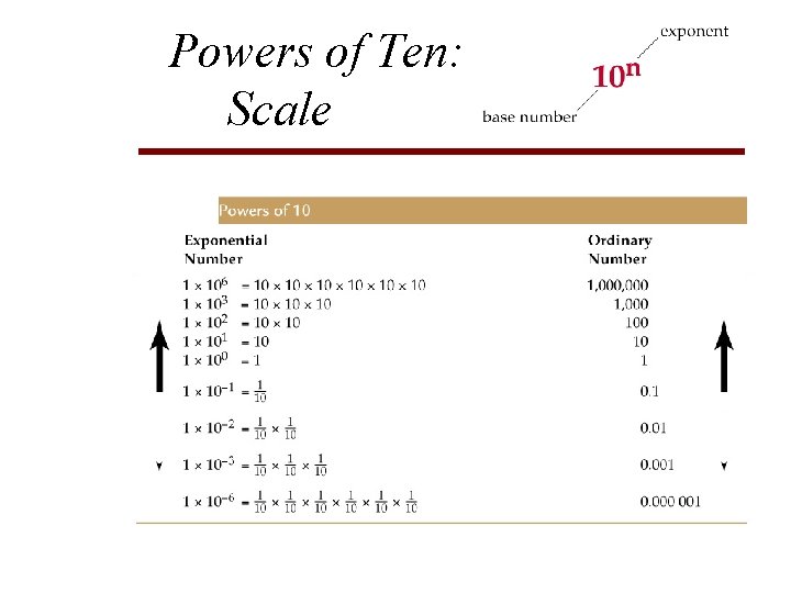 Powers of Ten: Scale 