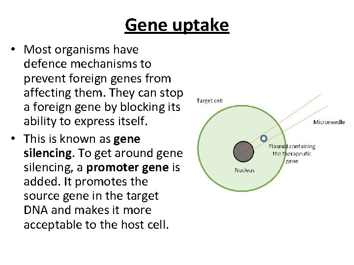 Gene uptake • Most organisms have defence mechanisms to prevent foreign genes from affecting