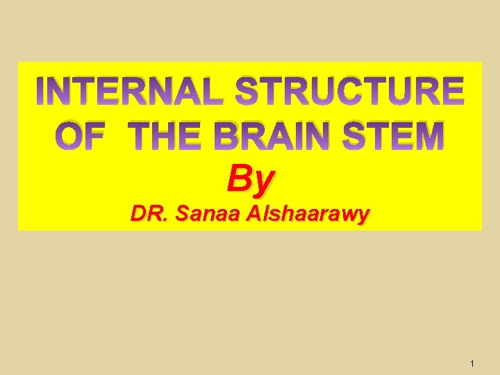 INTERNAL STRUCTURE OF THE BRAIN STEM By DR. Sanaa Alshaarawy 1 