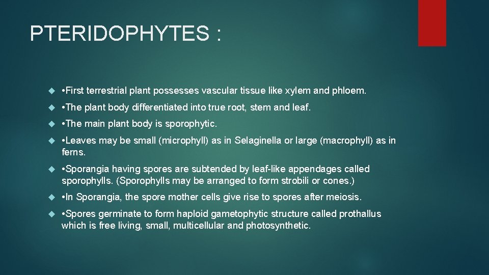 PTERIDOPHYTES : • First terrestrial plant possesses vascular tissue like xylem and phloem. •