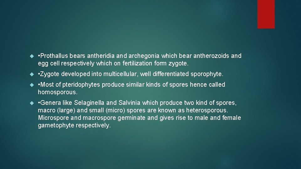  • Prothallus bears antheridia and archegonia which bear antherozoids and egg cell respectively