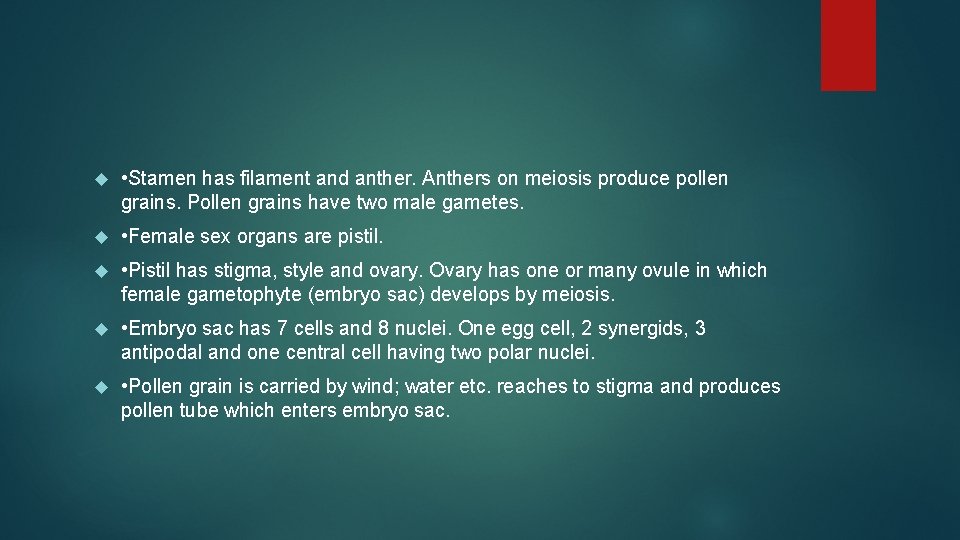  • Stamen has filament and anther. Anthers on meiosis produce pollen grains. Pollen