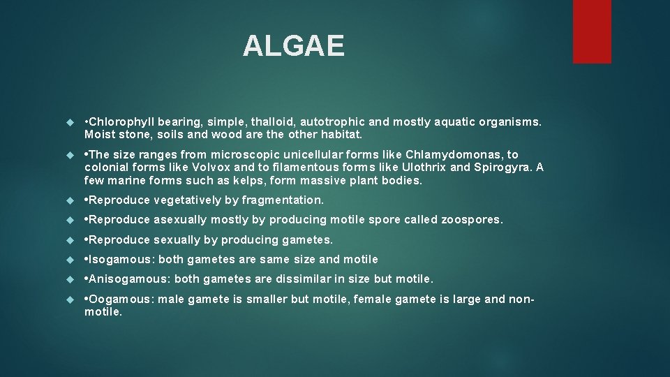 ALGAE • Chlorophyll bearing, simple, thalloid, autotrophic and mostly aquatic organisms. Moist stone, soils