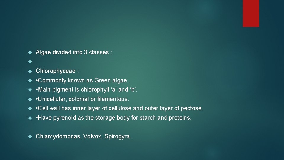  Algae divided into 3 classes : Chlorophyceae : • Commonly known as Green