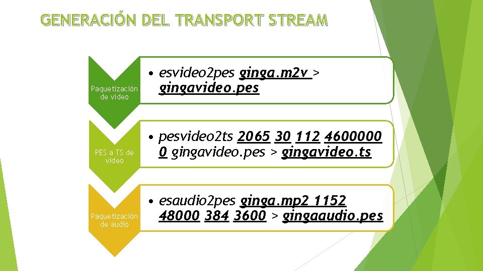 GENERACIÓN DEL TRANSPORT STREAM Paquetización de video PES a TS de video Paquetización de