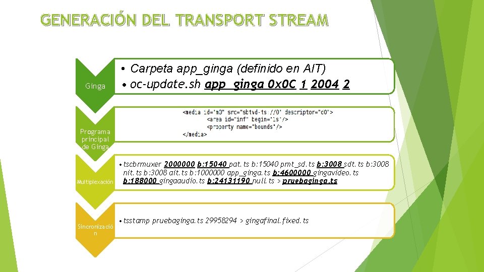 GENERACIÓN DEL TRANSPORT STREAM Ginga • Carpeta app_ginga (definido en AIT) • oc-update. sh