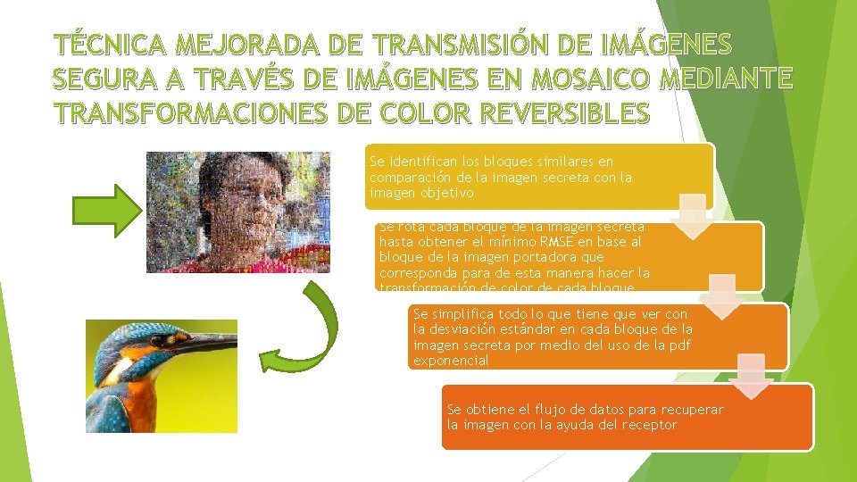 TÉCNICA MEJORADA DE TRANSMISIÓN DE IMÁGENES SEGURA A TRAVÉS DE IMÁGENES EN MOSAICO MEDIANTE