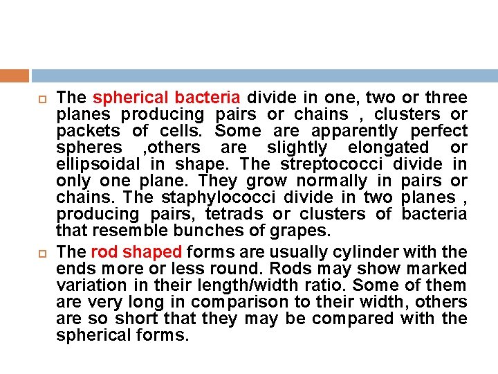  The spherical bacteria divide in one, two or three planes producing pairs or