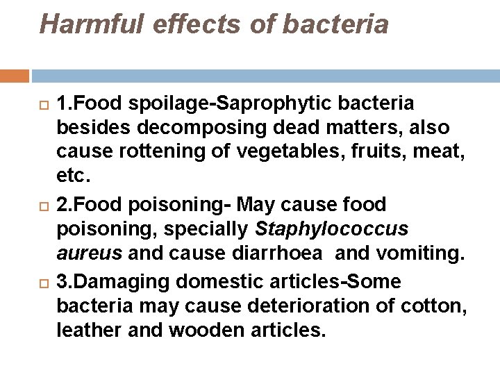 Harmful effects of bacteria 1. Food spoilage-Saprophytic bacteria besides decomposing dead matters, also cause