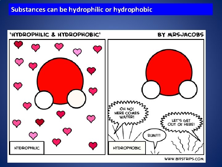 Substances can be hydrophilic or hydrophobic 