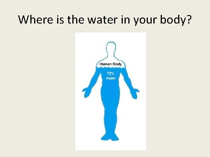 Where is the water in your body? 