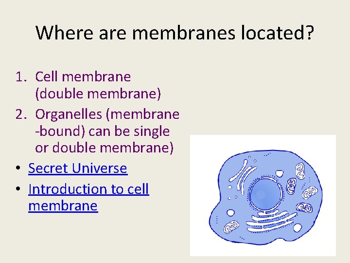 Where are membranes located? 1. Cell membrane (double membrane) 2. Organelles (membrane -bound) can