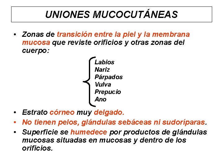 UNIONES MUCOCUTÁNEAS • Zonas de transición entre la piel y la membrana mucosa que