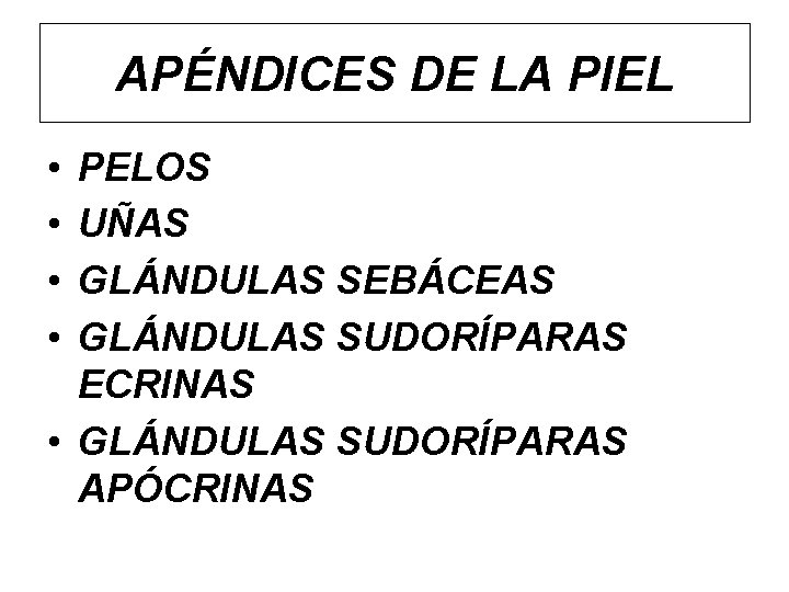 APÉNDICES DE LA PIEL • • PELOS UÑAS GLÁNDULAS SEBÁCEAS GLÁNDULAS SUDORÍPARAS ECRINAS •