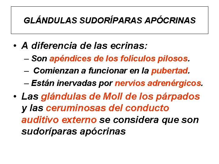 GLÁNDULAS SUDORÍPARAS APÓCRINAS • A diferencia de las ecrinas: – Son apéndices de los